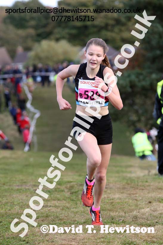 Girls under-13s, 2016 National Cross Country Relays, Berry Hill Park, Mansfield. Photo: David T. Hewitson/Sports for All Pics